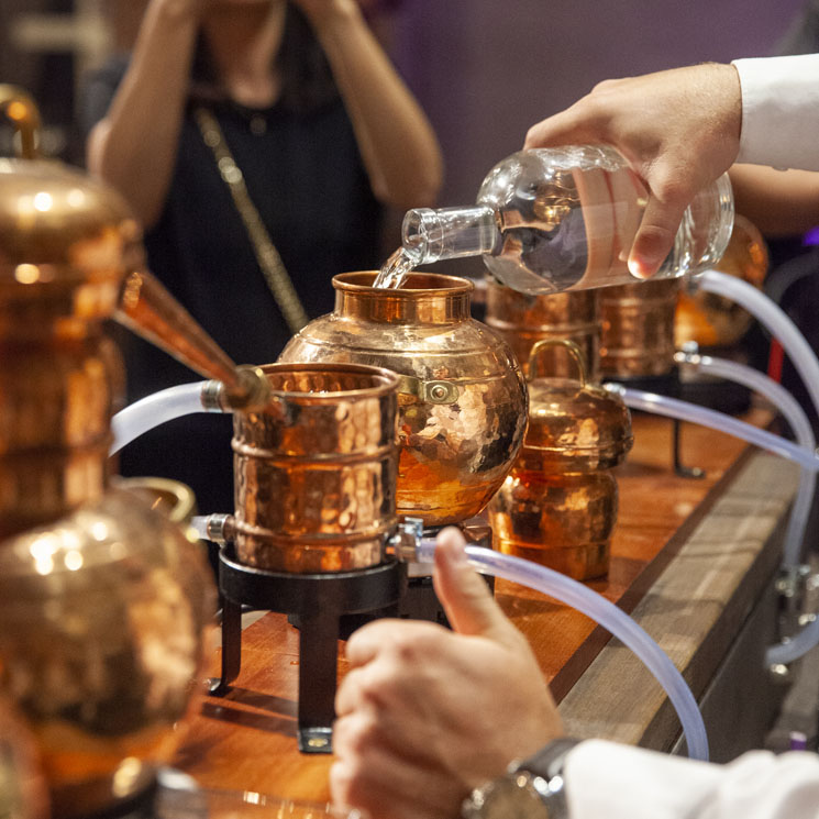 Gin Distillation Experience